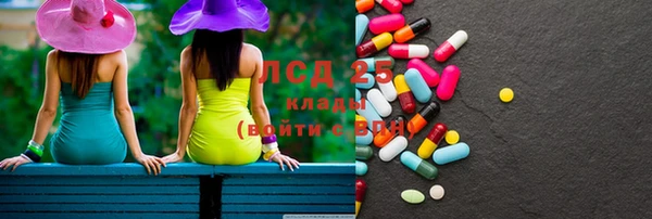 PSILOCYBIN Новозыбков