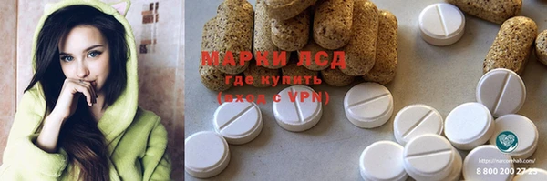 PSILOCYBIN Новозыбков