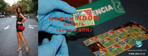 прущие грибы Новокубанск