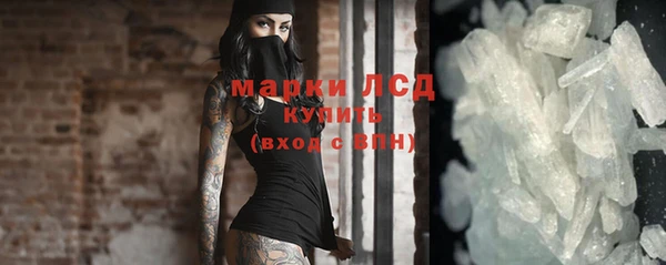 прущие грибы Новокубанск