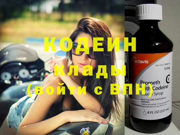 прущие грибы Новокубанск