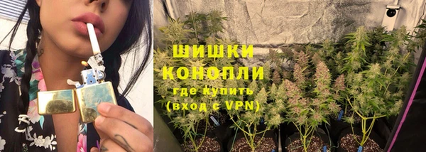 PSILOCYBIN Новозыбков