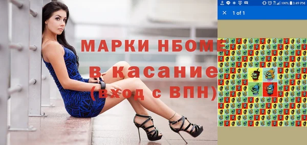 прущие грибы Новокубанск
